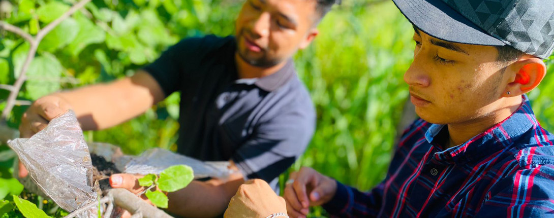 Ingeniería en Sistemas Agroalimentarios