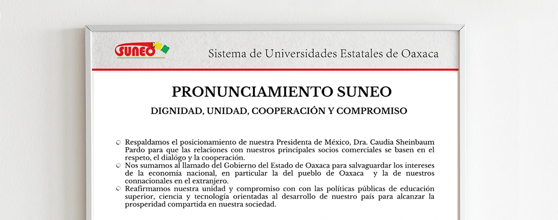 pronunciamiento